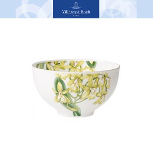 [해외][Villeroy&amp;Boch] 빌레로이앤보흐 Amazonia Bowl 5 in (13cm) (4pcs)