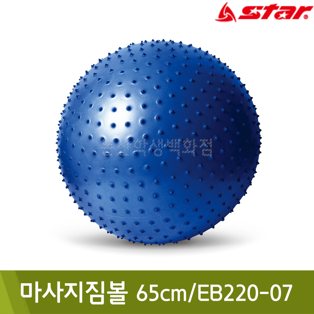 스타 마사지짐볼(65cm/EB220-07)