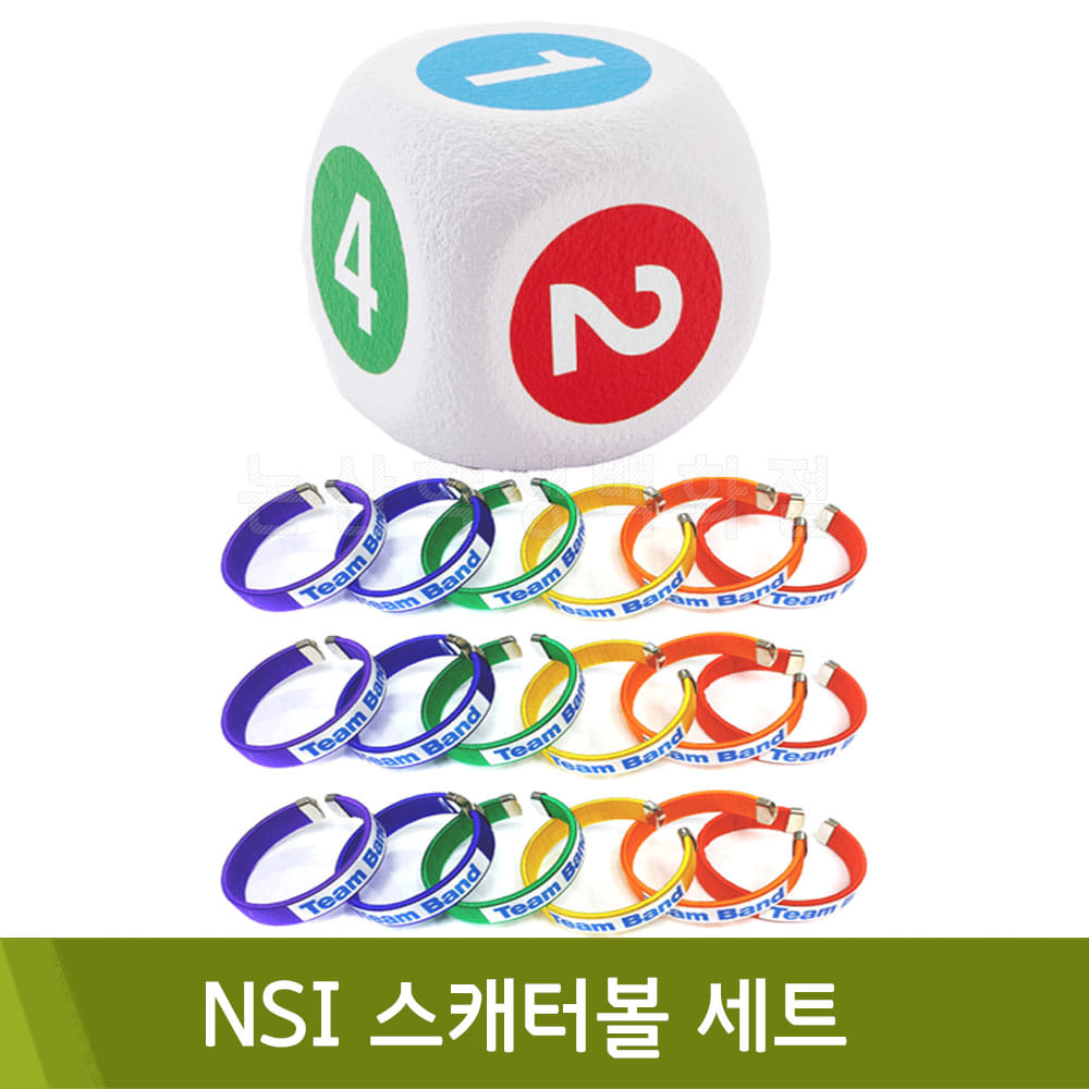 NSI 스캐터볼 세트