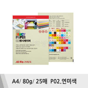 두성 OA팬시페이퍼(A4/80g/25매/P02.연미색)