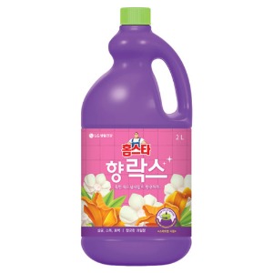 LG 홈스타향락스2L