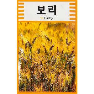 토단 씨앗(보리)