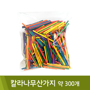 칼라나무산가지(약300개)