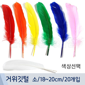 거위깃털(소/평균18~20cm/20개입/색상선택)