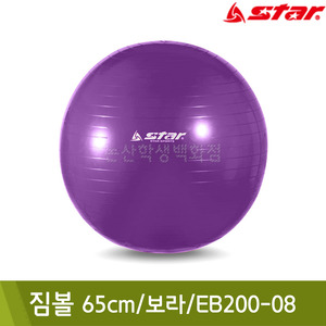 스타 짐볼(65cm/보라/EB200-08)