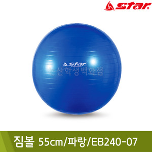 스타 짐볼(55cm/파랑/EB240-07)