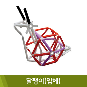 포디 달팽이(입체/30세트)