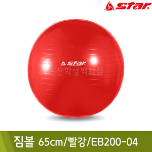 스타 짐볼(65cm/빨강/EB200-04)