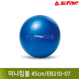 스타 미니짐볼(45cm/EB210-07)