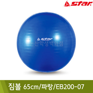 스타 짐볼(65cm/파랑/EB200-07)