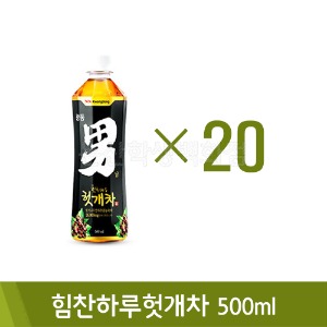 광동 힘찬하루헛개차(500mlx20병)