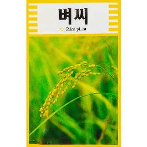 토단 씨앗(벼)