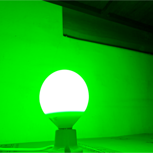 LED 녹색 볼구 볼전구 G95 12W 초록색 Green 컬러전구