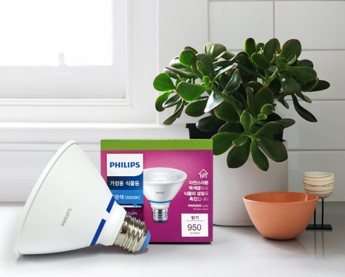 PHILIPS LED 가정용 식물조명 PAR30 램프타입 10W (5000K).