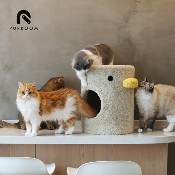 머펫 바비의 PURROOM 귀여운 병아리 더블 레이어 고양이 쓰레기 작은 고양이 등반 캣타워 사람들이 작은 의자를 공유하는 애완 동물
