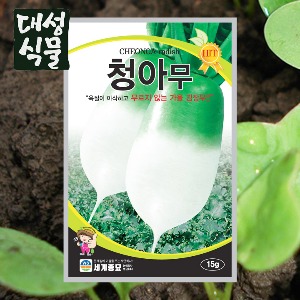 청아무 15g 씨앗 씨 종자 채소 야채 대성식물