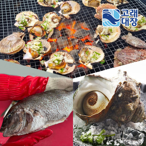 [고래대장] 캠핑 푸드 싱싱 3종 패키지 (참돔+비단가리비+뿔소라) 구이용