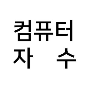 컴퓨터 자수비