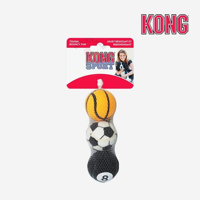 콩 KONG 스포츠볼 중