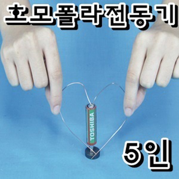 호모폴라전동기 1인