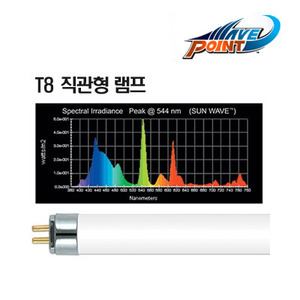 썬 웨이브 10000K T8 40W 