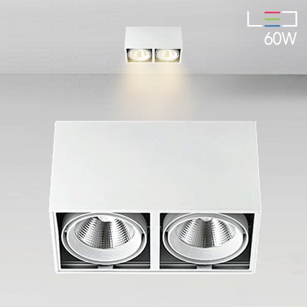 [LED 60W] 모이스 노출2구 직부등 (블랙/화이트)