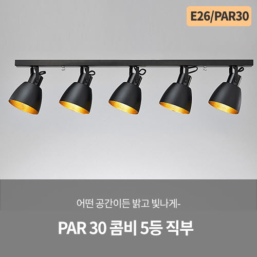 PAR 30 콤비 5등 직부