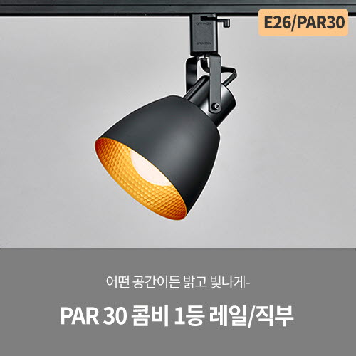 PAR 30 콤비 1등 직부/레일 (화이트/블랙)