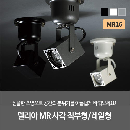 델리아 MR 사각 직부형/레일형