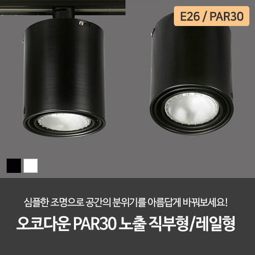 오코다운 PAR30 노출 직부형/레일형