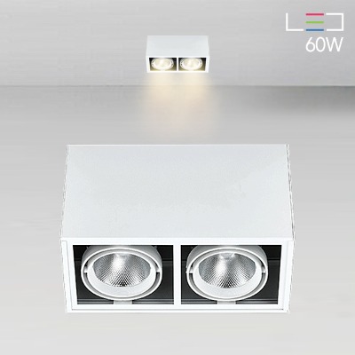 [LED 60W] 모아미 노출2구 직부등 (블랙/화이트)