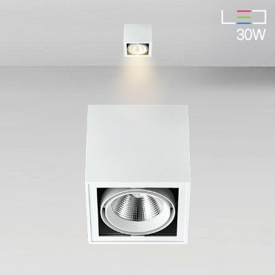 [LED 30W] 모이스 노출1구 직부등 (블랙/화이트)