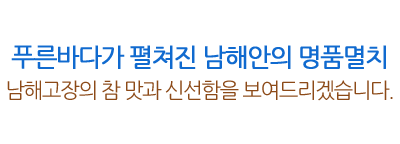 남해통통참멸치