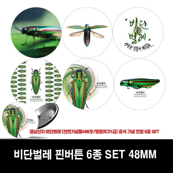 다음 버튼 녹색