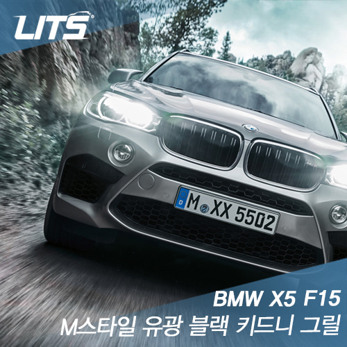 BMW X5 (F15) M스타일 유광 블랙 키드니 그릴 (2pcs)