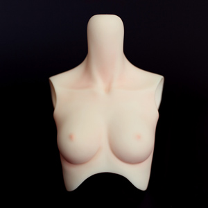 Harmony Girl Small Bust Parts