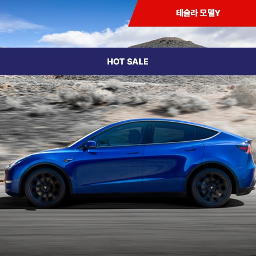 테슬라 모델Y 선구매 차 (옵션, 색상 다양)