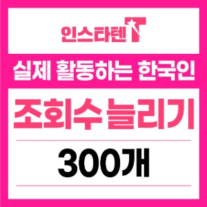 동영상 조회수 300개