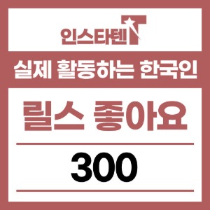 실제 활동하는 한국인 릴스 좋아요 300개