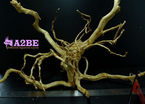 Drift wood 1208-7