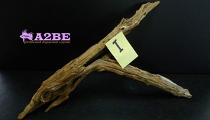 Drift wood - I1 