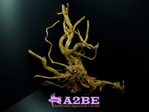 Drift wood- 0102ㄱ