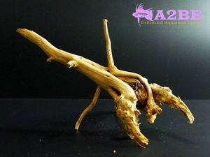 DriftWood 140412 W (20cm이상)