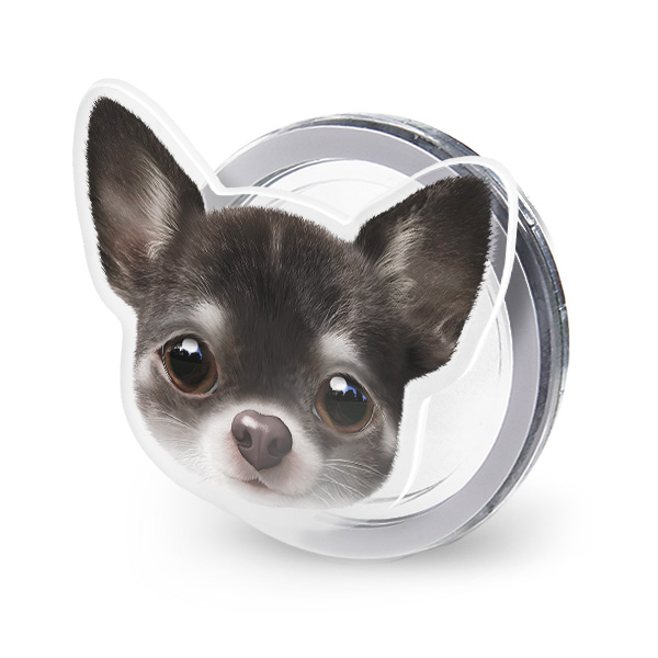 Leon the Chihuahua Face Acrylic Magnet Tok (for MagSafe)