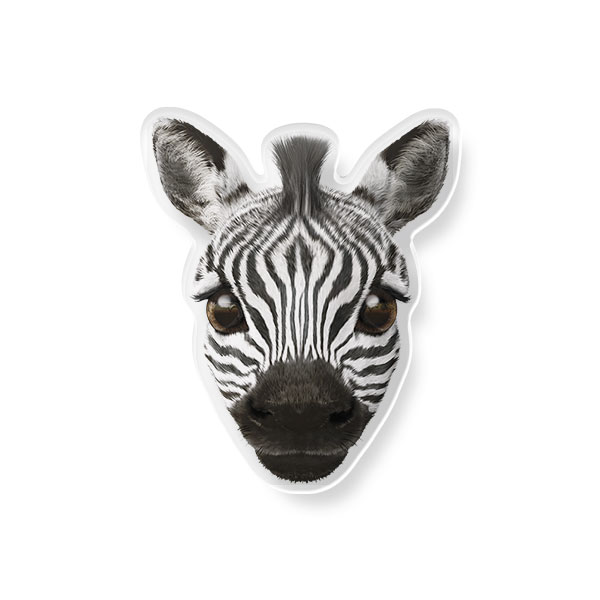 Zebra the Plains Zebra Face Acrylic Tok