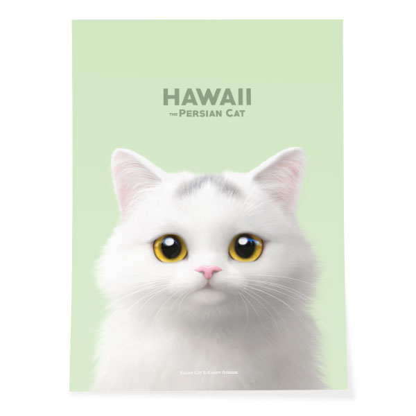 Hawaii Art Poster