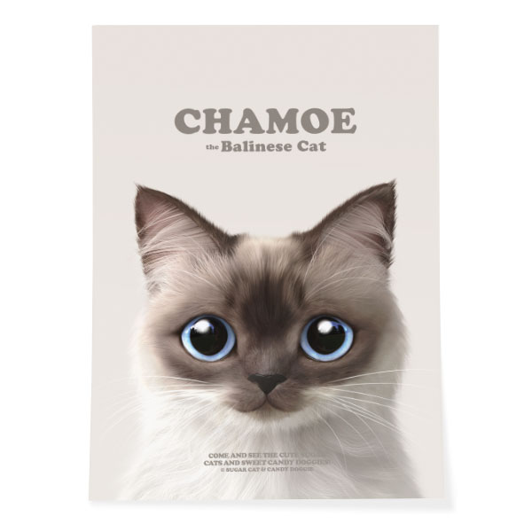 Chamoe Retro Art Poster