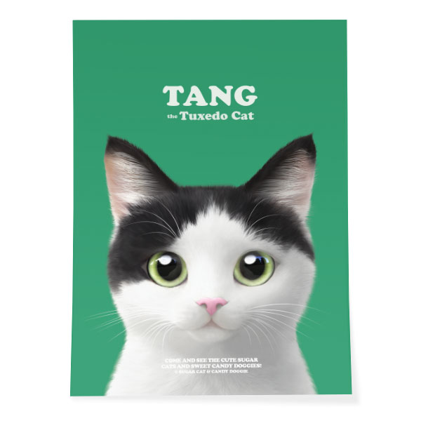 Tang Retro Art Poster