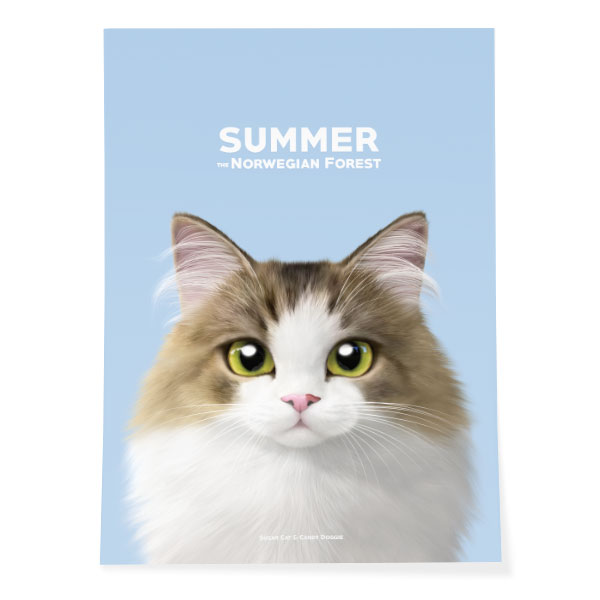 Summer the Norwegian Froest Art Poster
