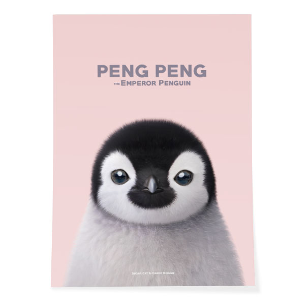 Peng Peng the Baby Penguin Art Poster